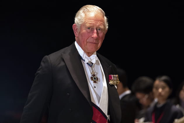 Le prince Charles de Galles