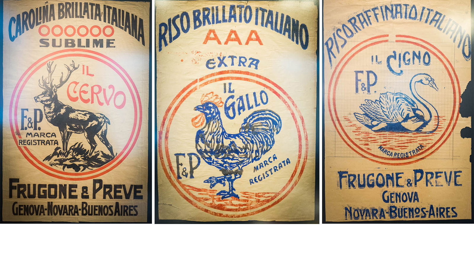 Du coq au riz