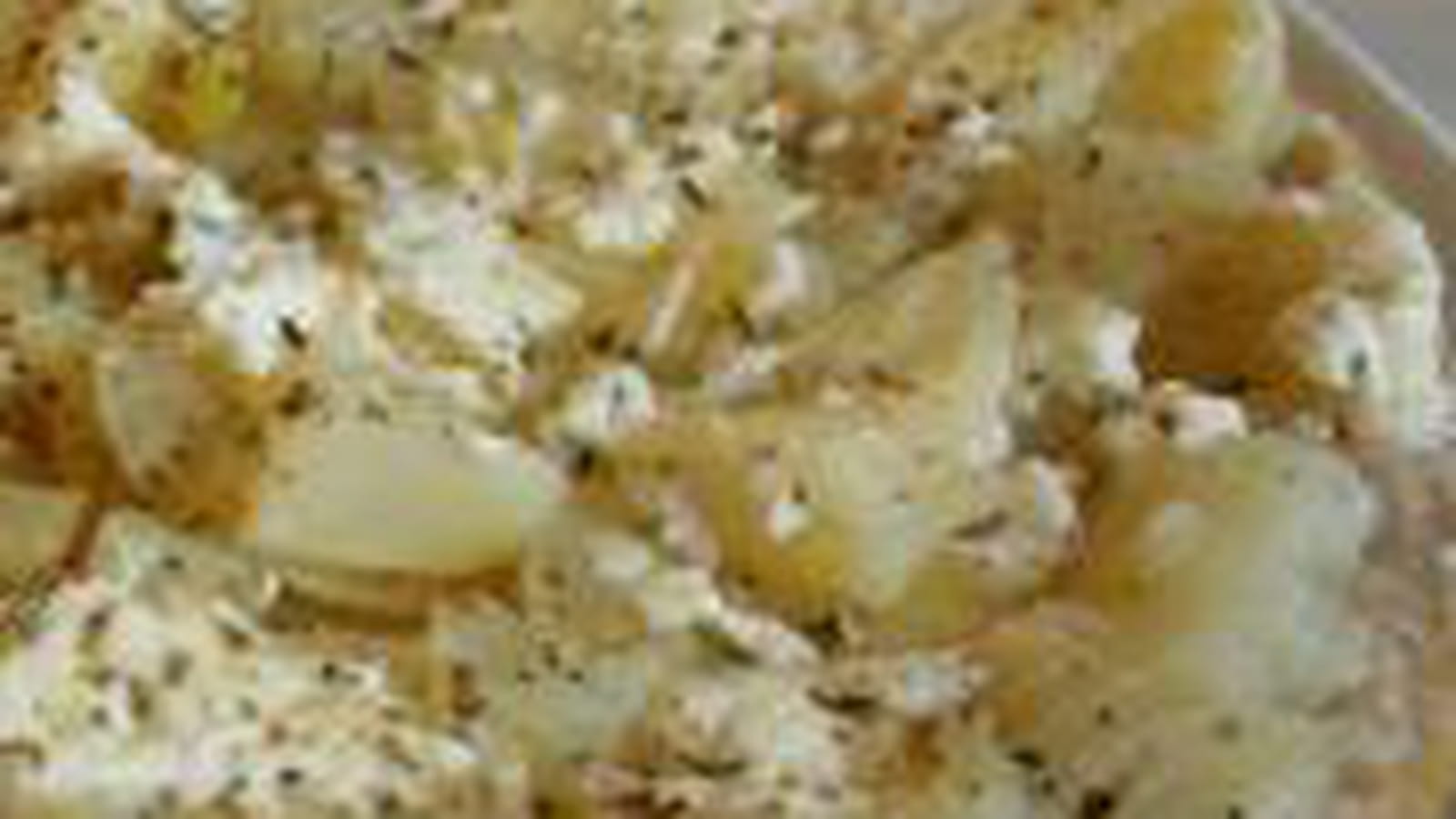 Tatin fenouil - chèvre au cumin