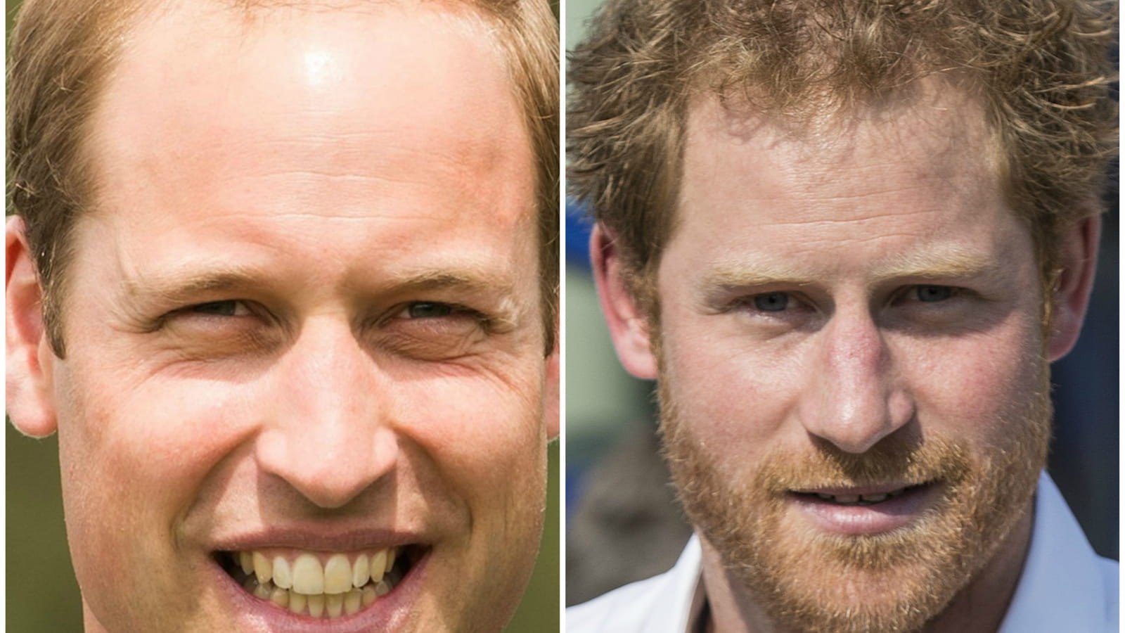 Les princes William et Harry