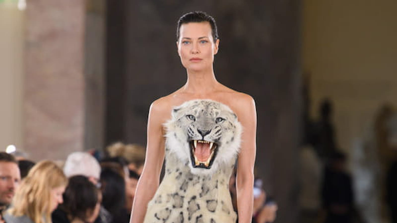 Schiaparelli