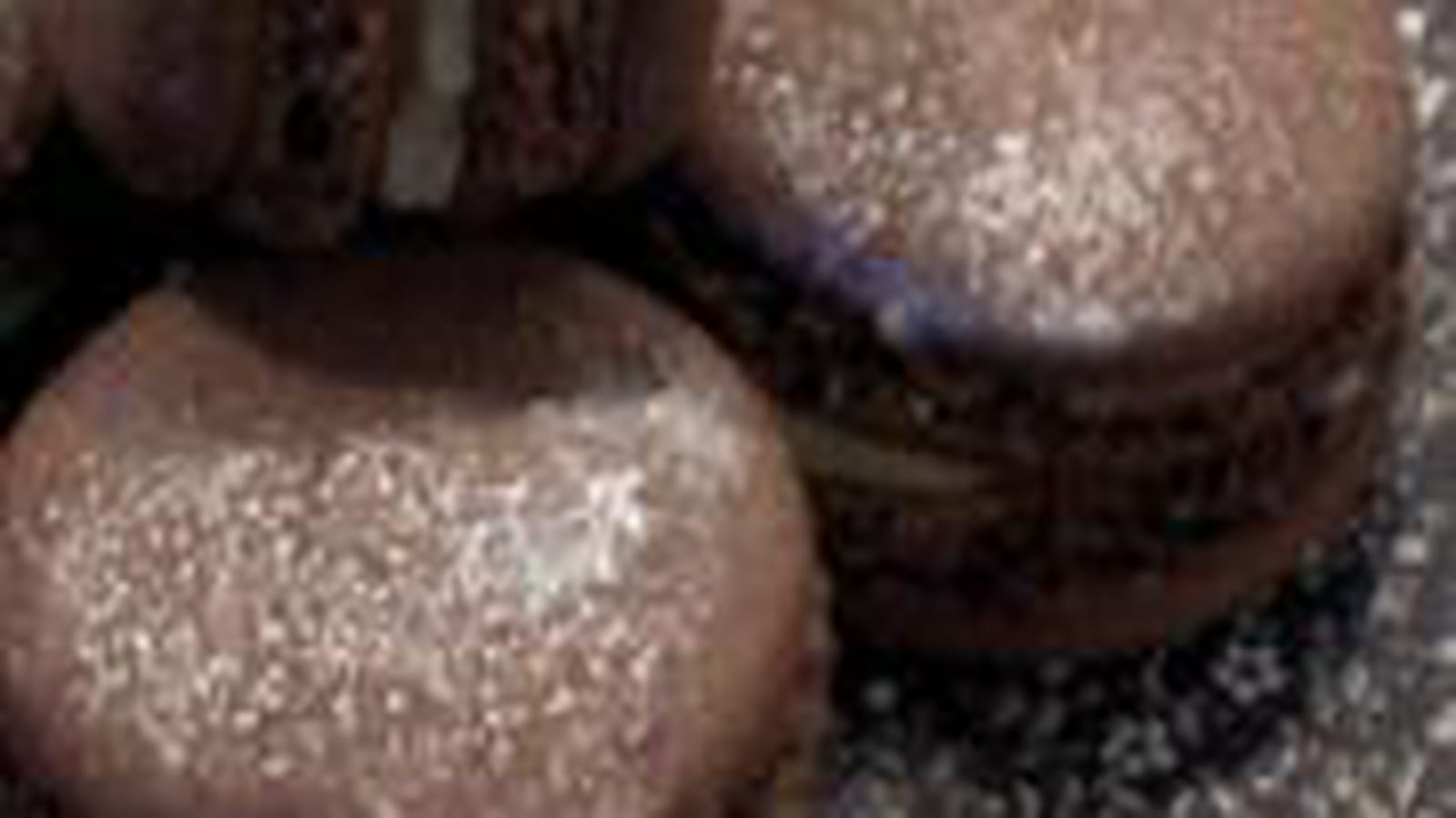 Macarons noisettes, ganache vanille-rhum