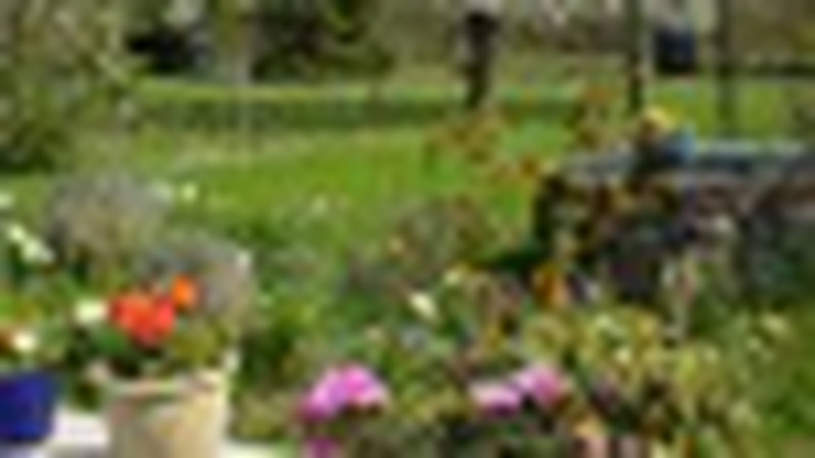 Jardin