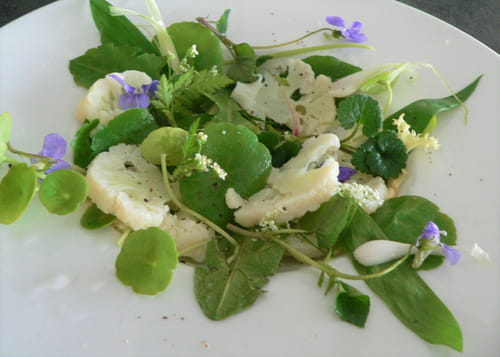 Salade de Printemps à l'ail des ours