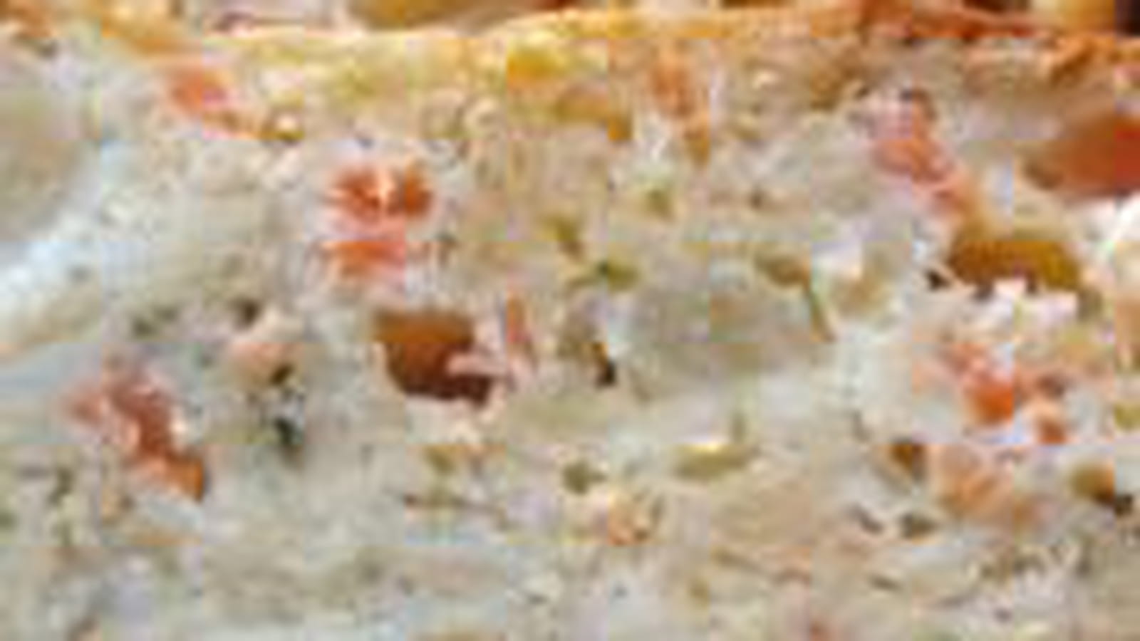 Saumon-roquefort-pommes vertes