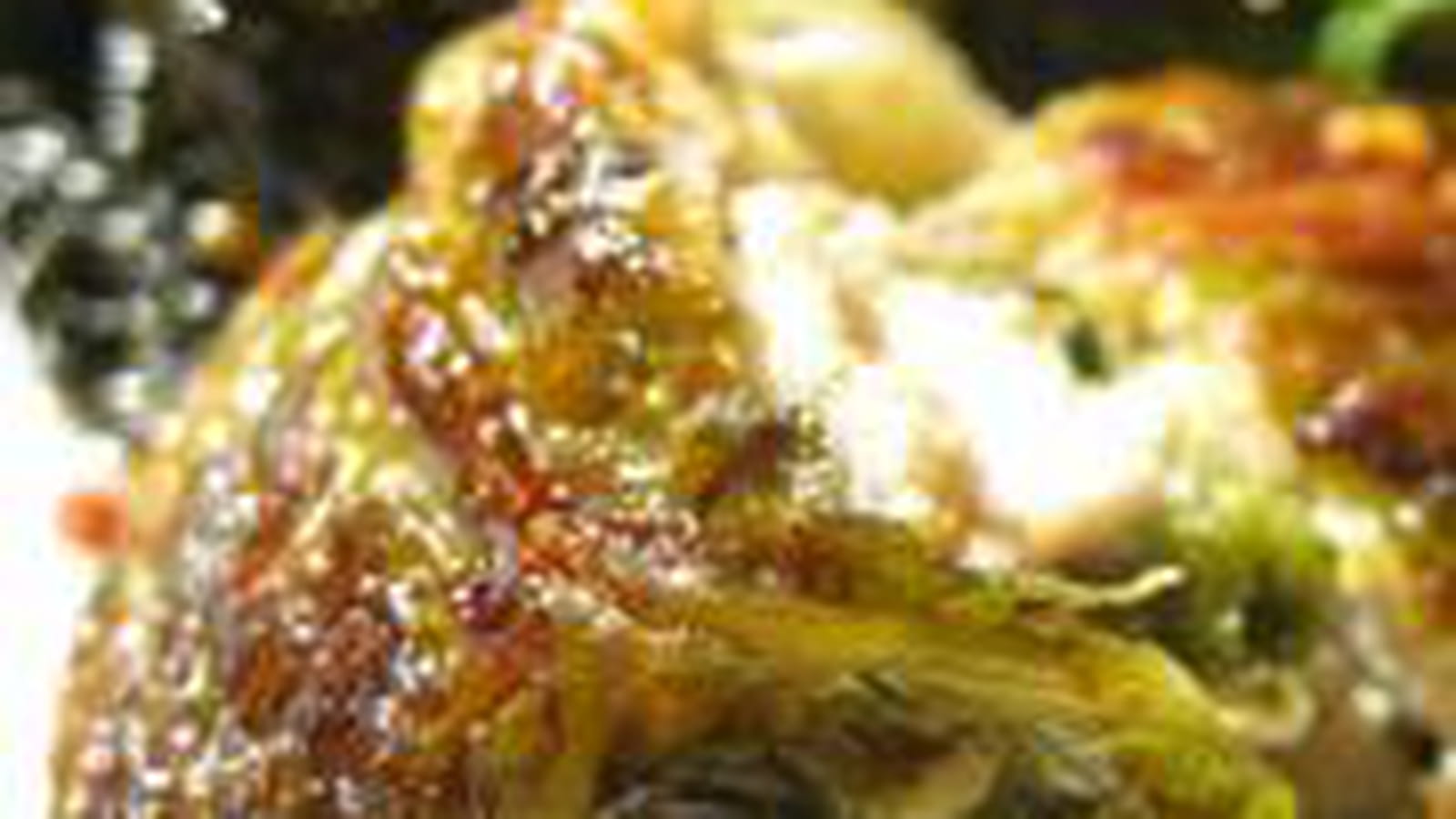 Choux farcis au poulet