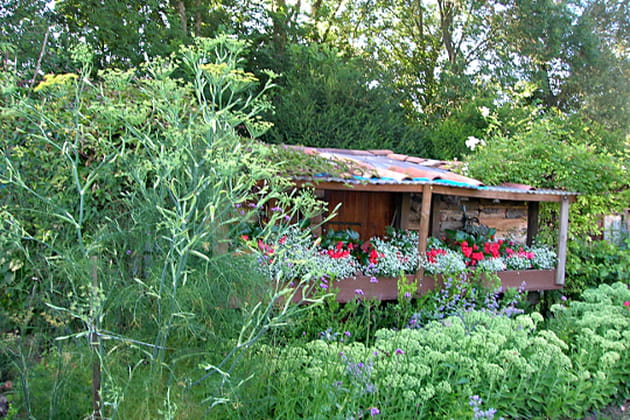 Petit coin de paradis sauvage