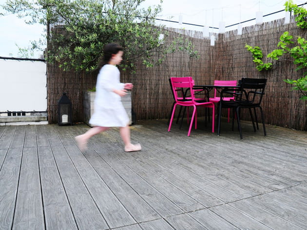 Apr&egrave;s&nbsp;: un olivier en pot