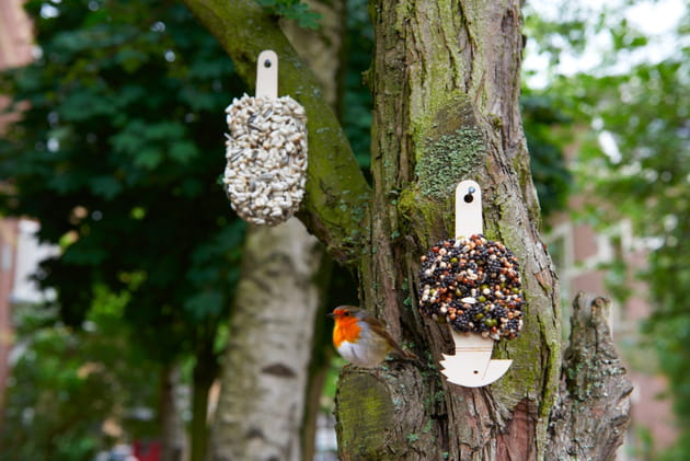 Un bloc de graines &agrave; oiseaux LAPADD
