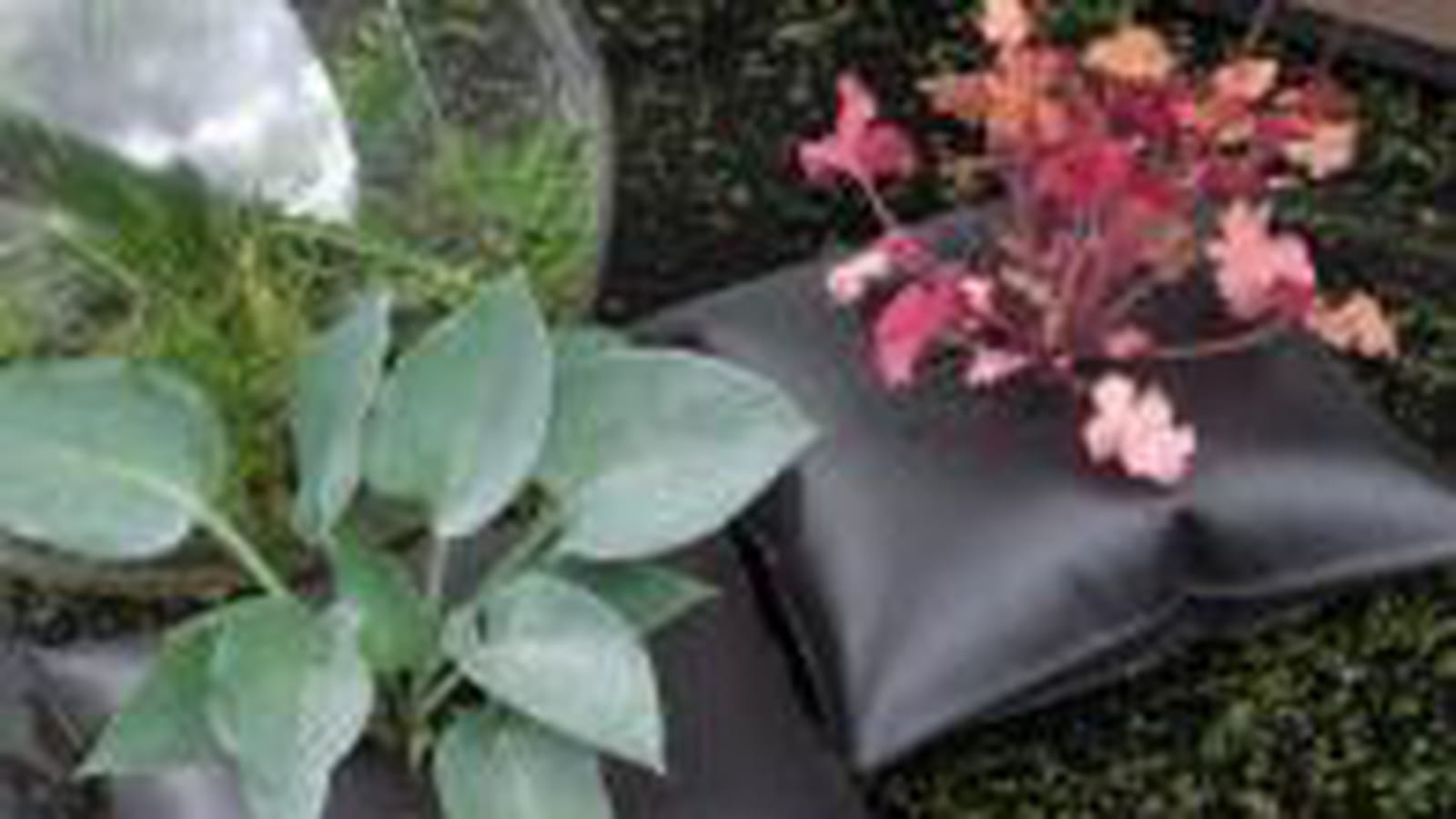 Jardinière Green Pillow
