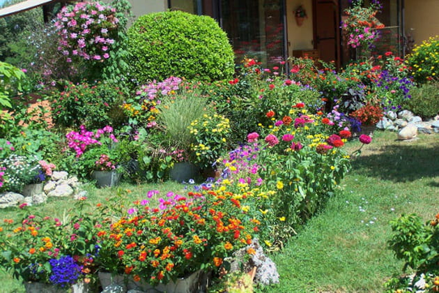 Le p&eacute;tillant jardin de Jean-Pierre