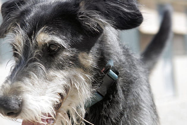 Dans la force de l'&acirc;ge