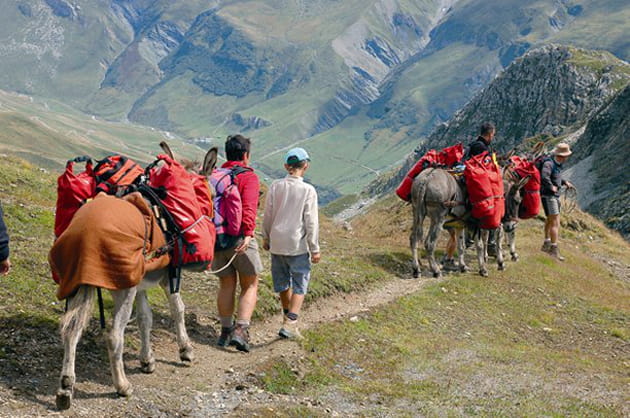 Anes b&acirc;t&eacute;s sur le Tour du Mont Blanc