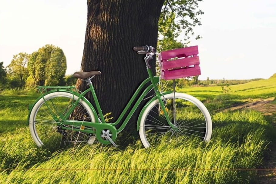 bicyclette 100 vegetal pour régime