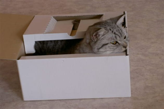 Un colis &agrave; envoyer&nbsp;?