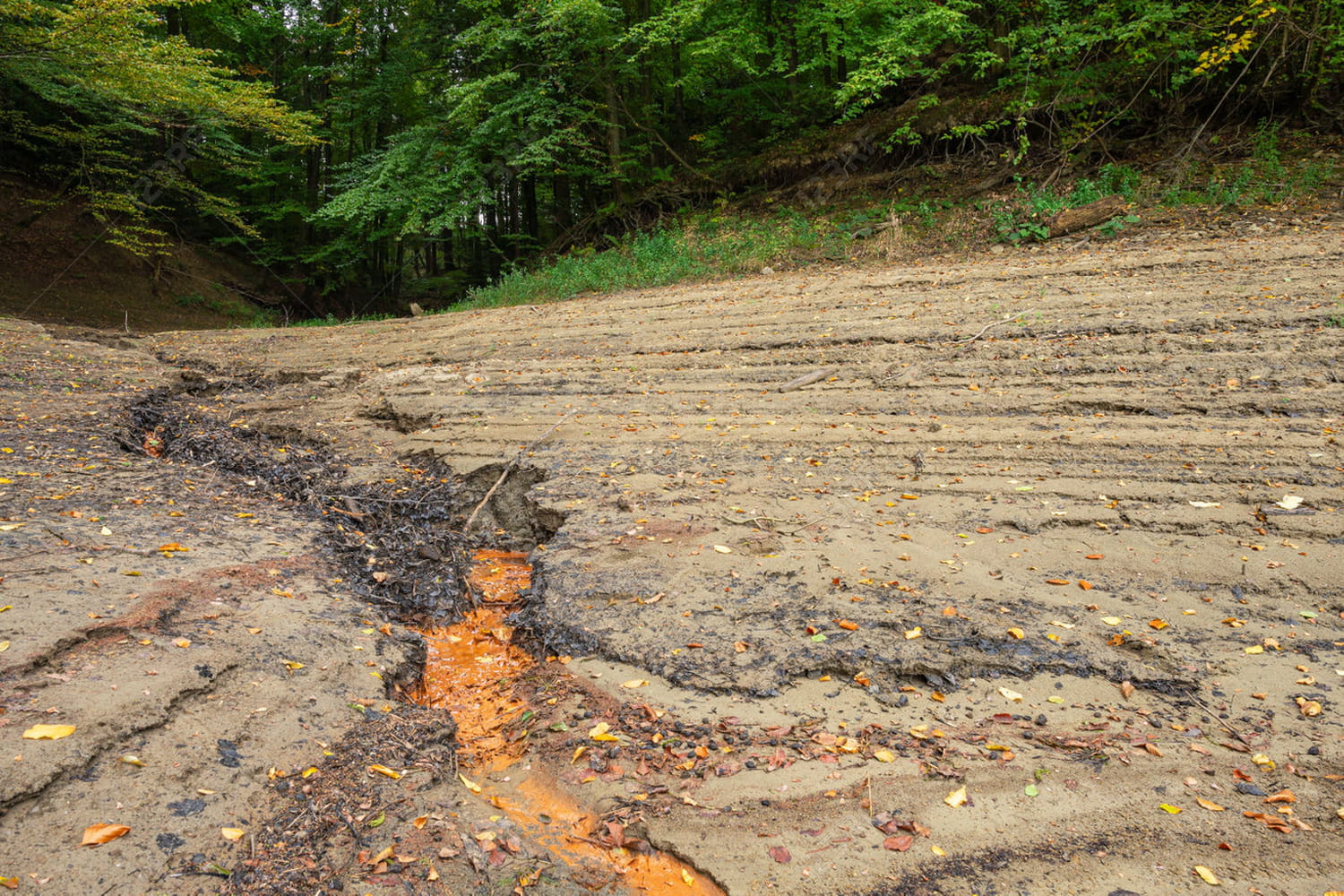 researchers unravel the mystery of “impossible” earthquakes