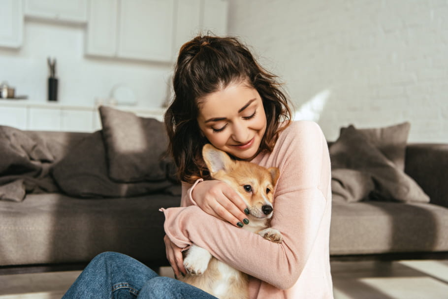 1 Français sur 2 ressent plus d'amour pour son animal que pour sa moitié