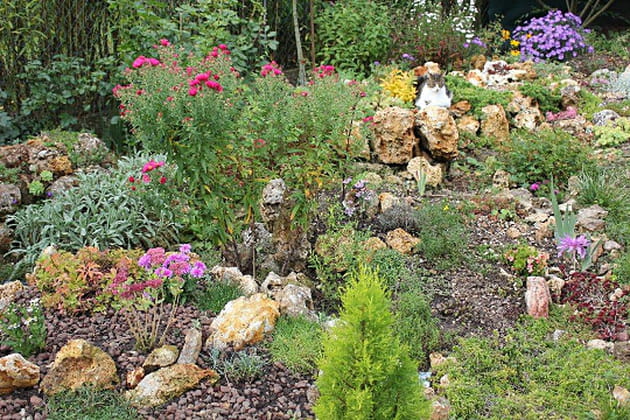 La rocaille en septembre