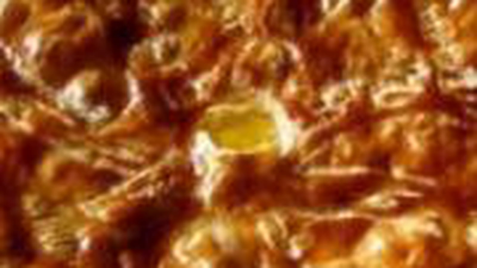 Tourte francomtoise