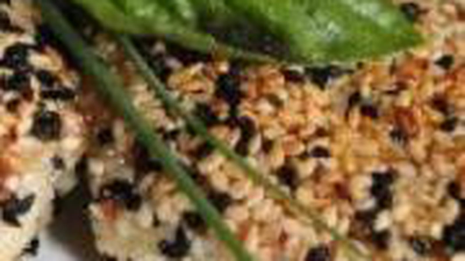 Croquettes de dinde