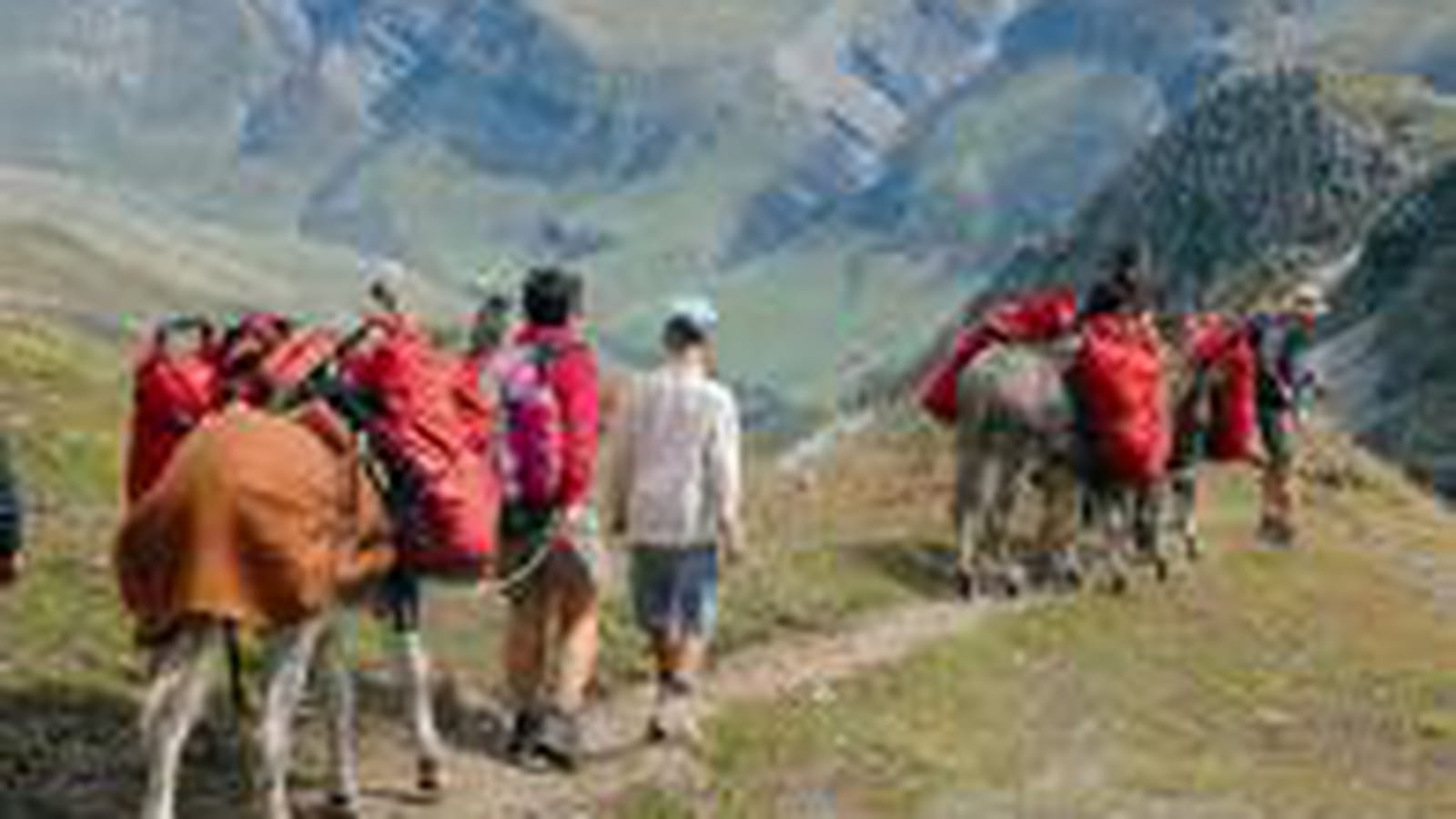 Tour du Mont Blanc
