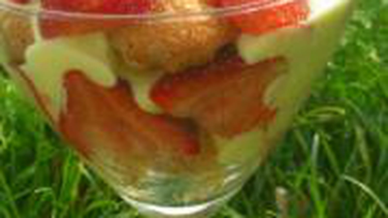 Tiramisu fraises et litchi 