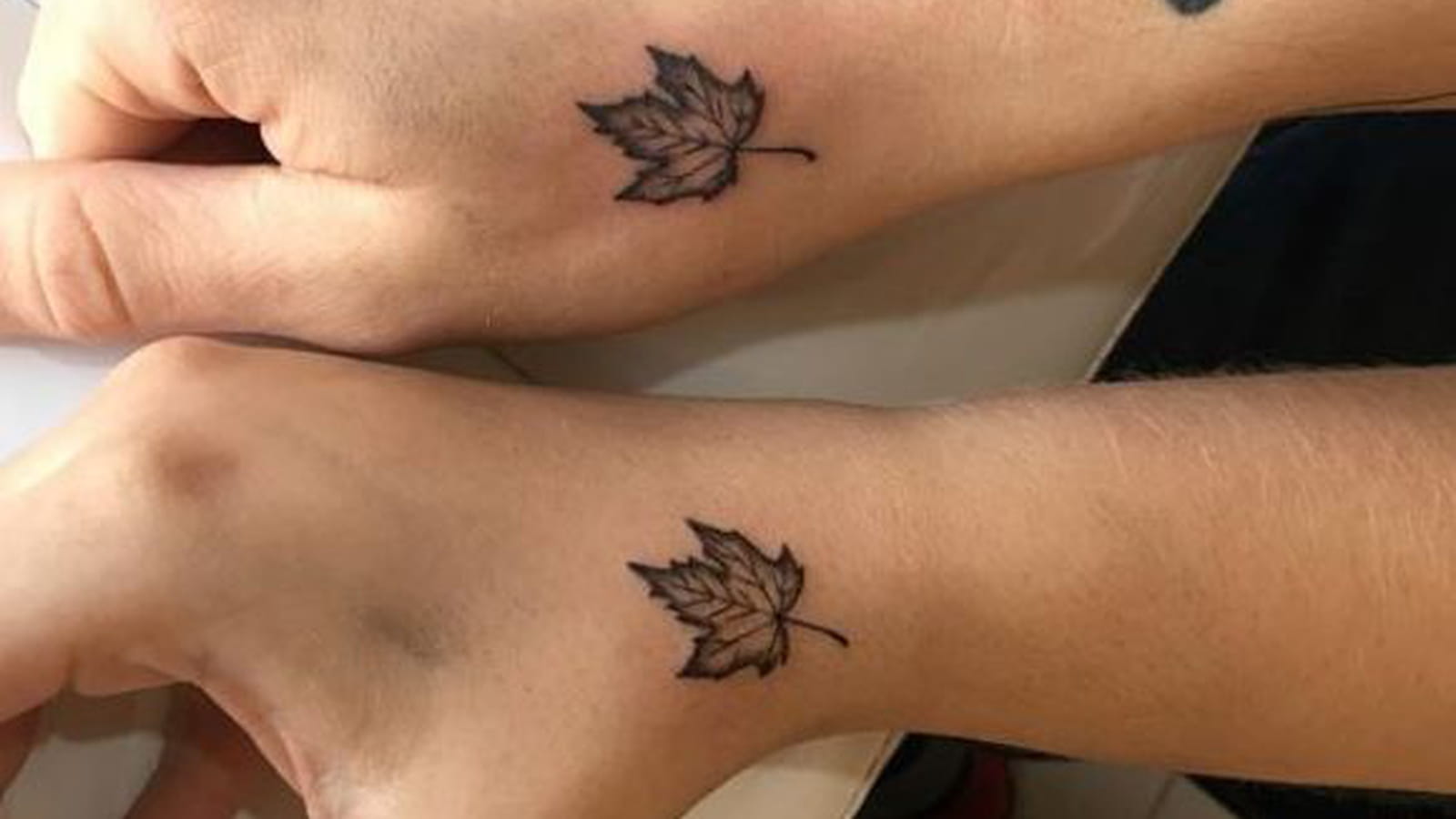 Feuilles d'automne