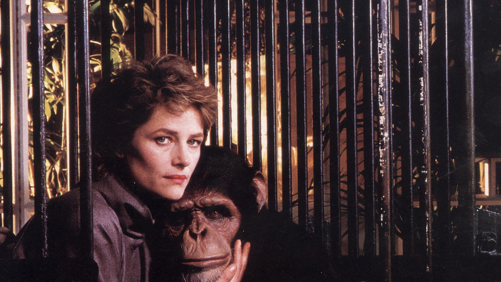 "Max mon amour" d'Oshima (1985)