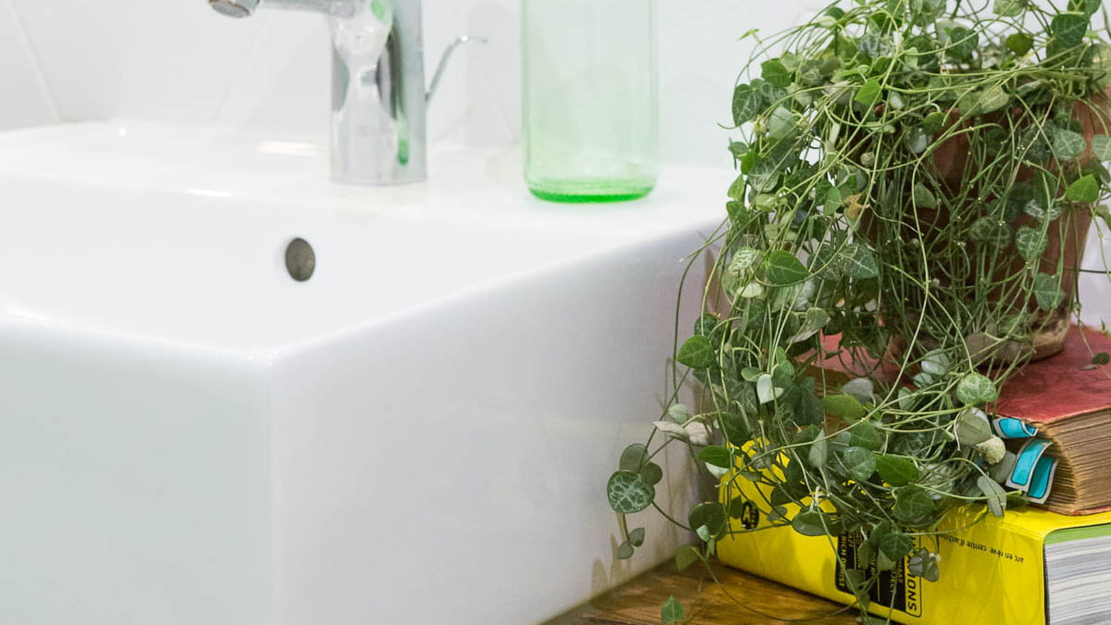 Plante tombante