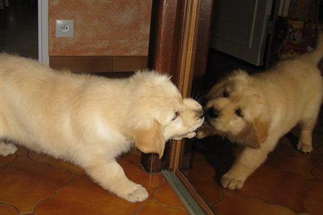 Amie avec son propre reflet