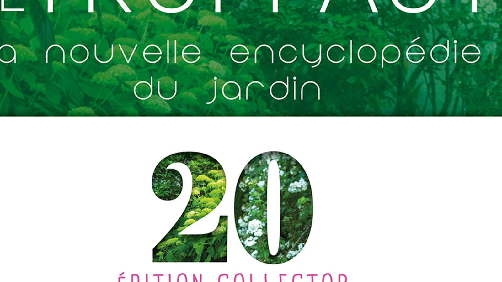 Le Truffaut