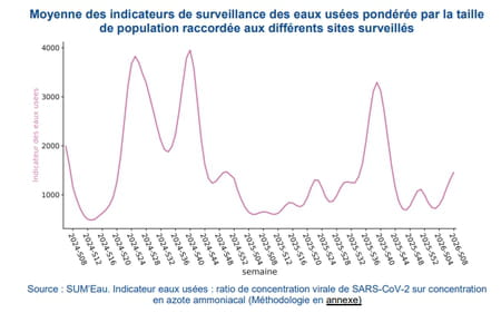 Circulation du Covid dans les eaux usées - Courbes 2026