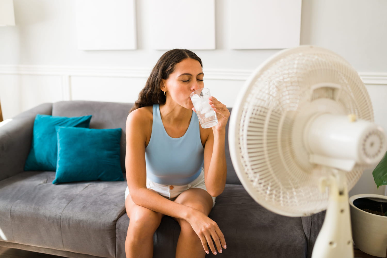 This habit of repeating every day cools the house by several degrees if you do it well This habit of repeating every day cools the house by several degrees if you do it well
