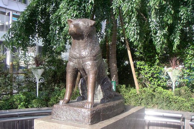 Une statue en l'honneur d'Hachiko