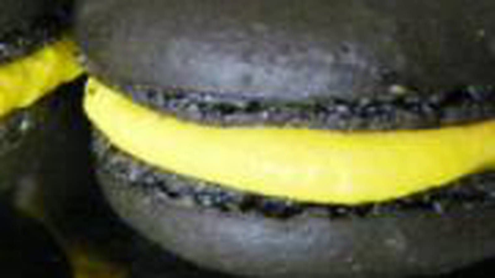 Macarons citron et Baies de Sansho