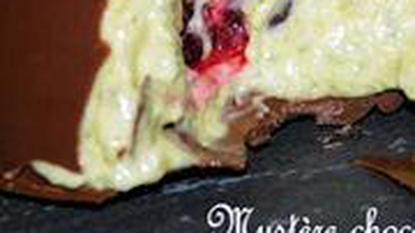 Mystère choco pistache griotte