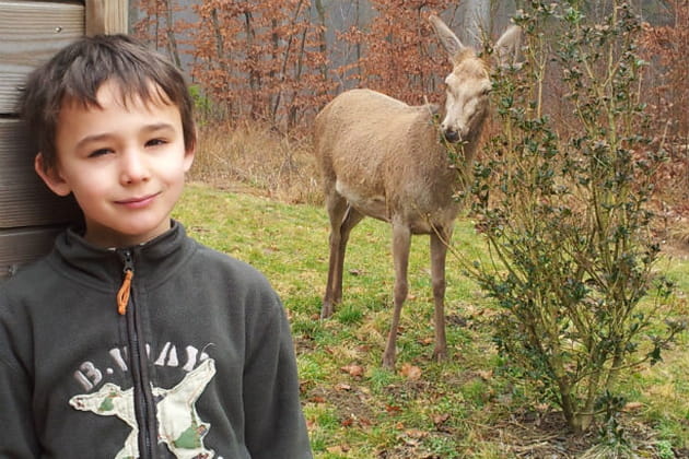 Cl&eacute;ment &agrave; la for&ecirc;t