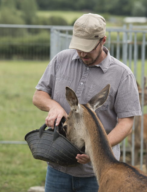 Des récompenses à la clé