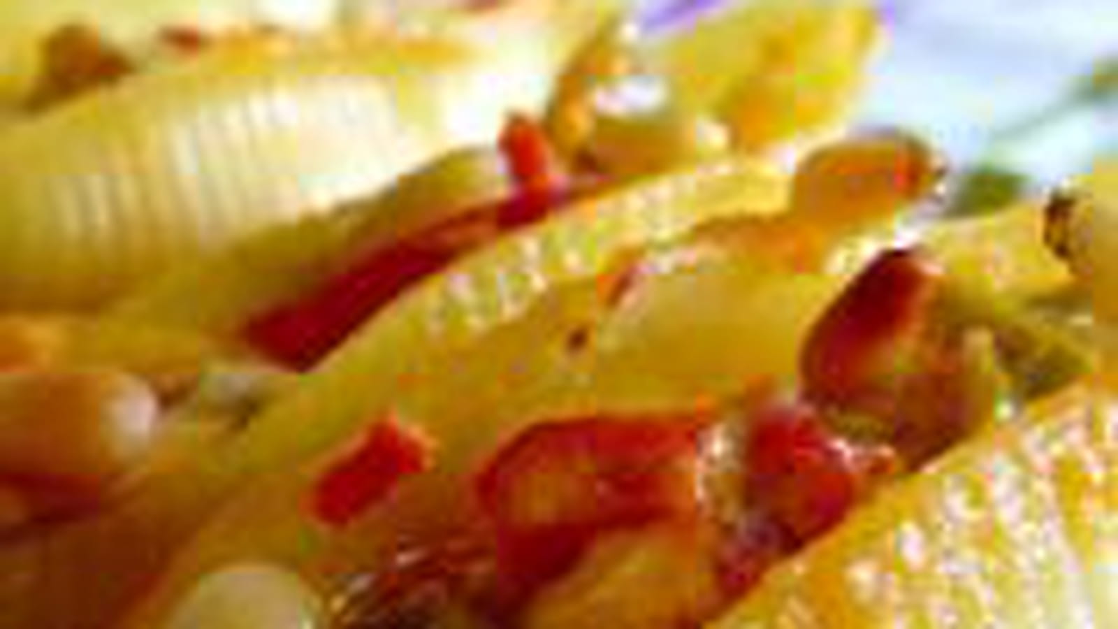 Conchiglie poivrons et brocciu