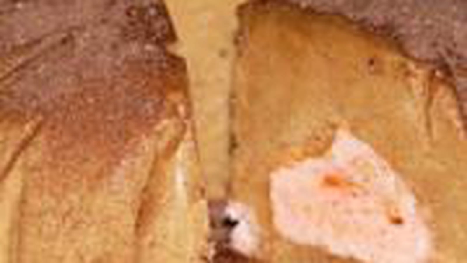 Parfait glacé au café