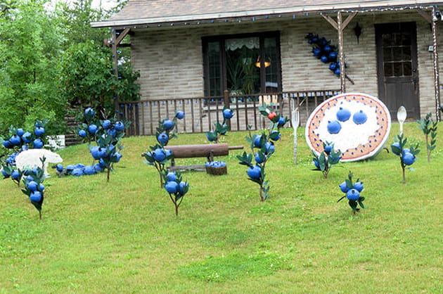 Le d&eacute;cor aux fruits