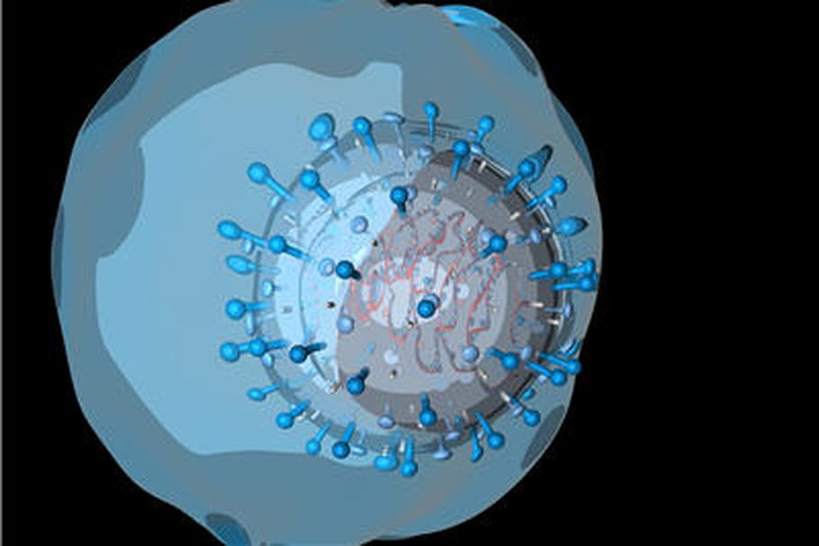 Mort du premier patient hospitalisé à cause d'un coronavirus