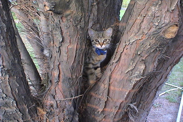 Ce n'est pas du pipot&nbsp;!