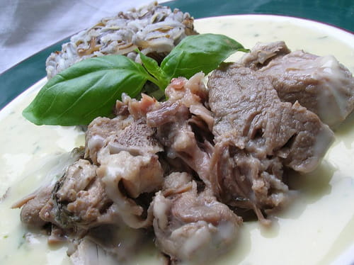 Blanquette d'agneau au basilic
