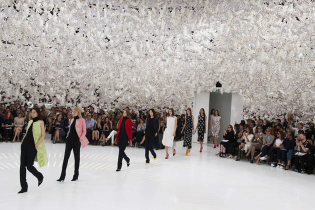 Ciel d'orchid&eacute;es