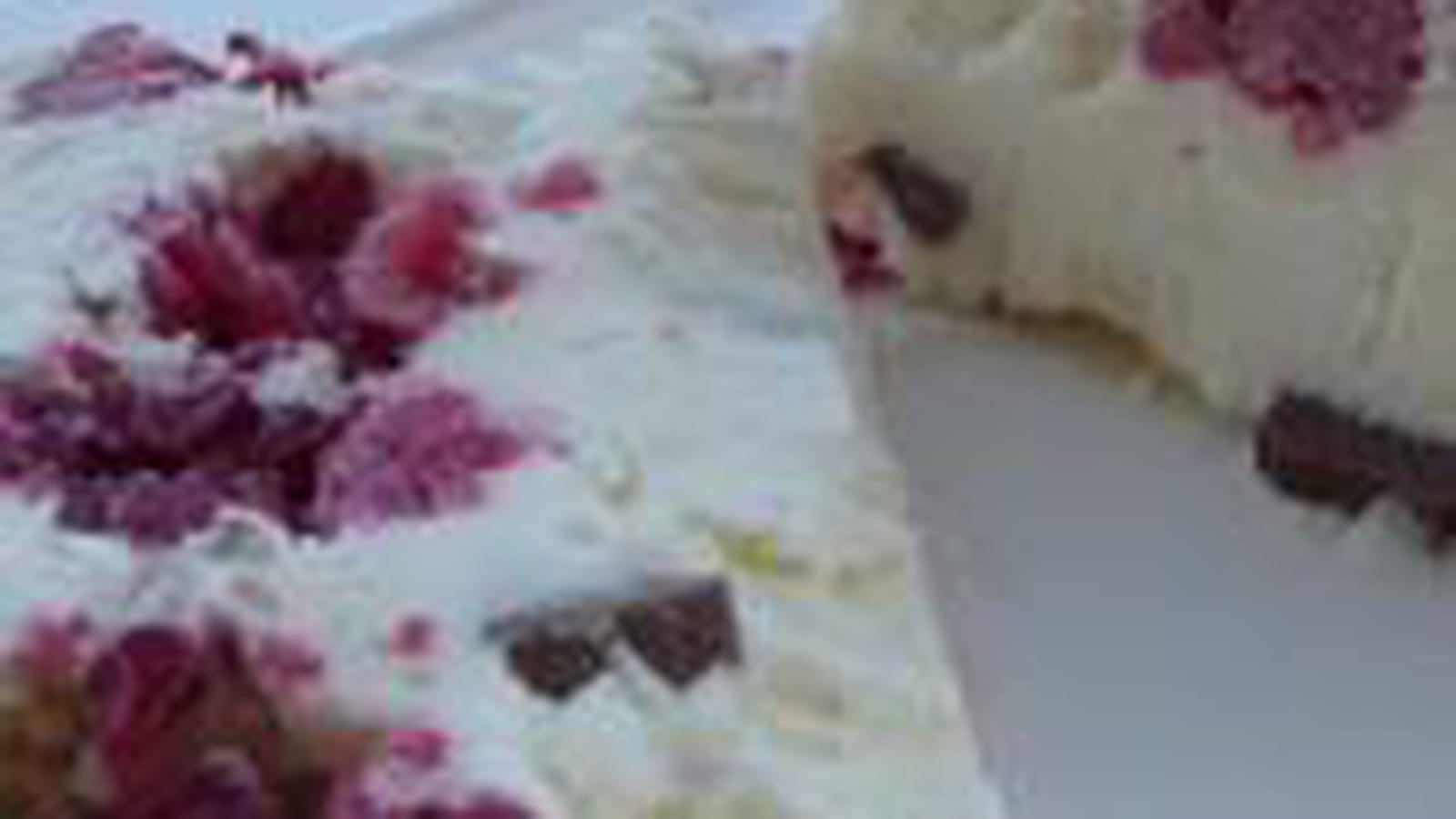 Terrine glacée mascarpone-framboise