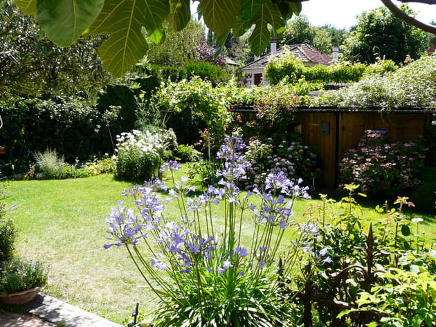 La cabane au fond du jardin