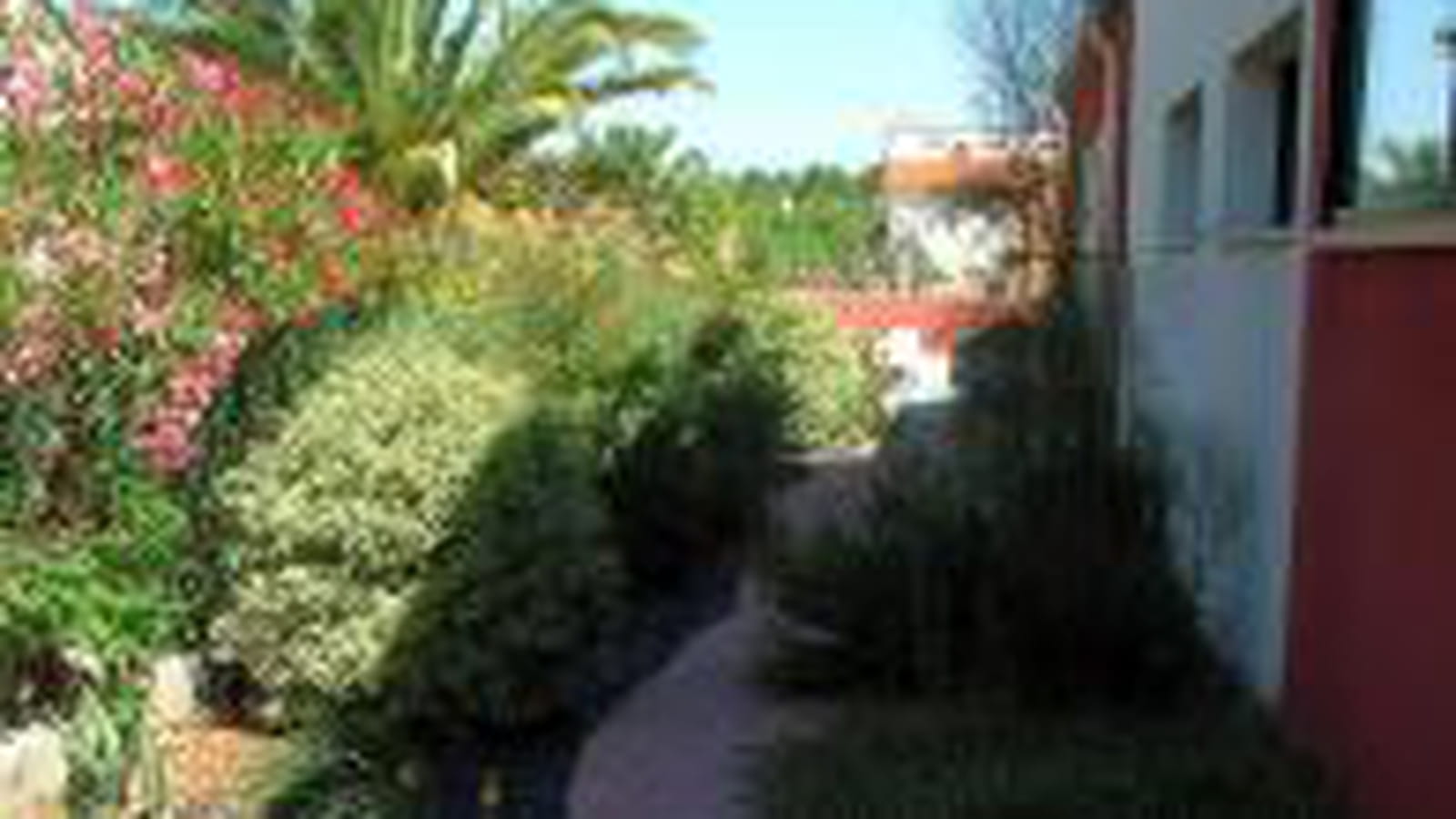 Brises vue naturels