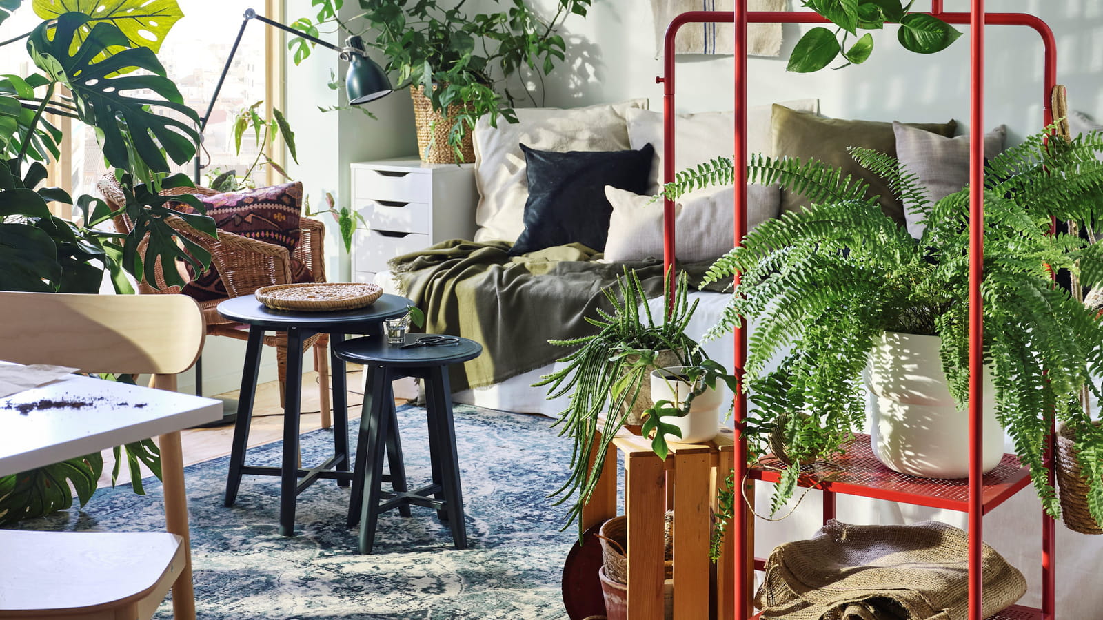 Urban jungle & récup'