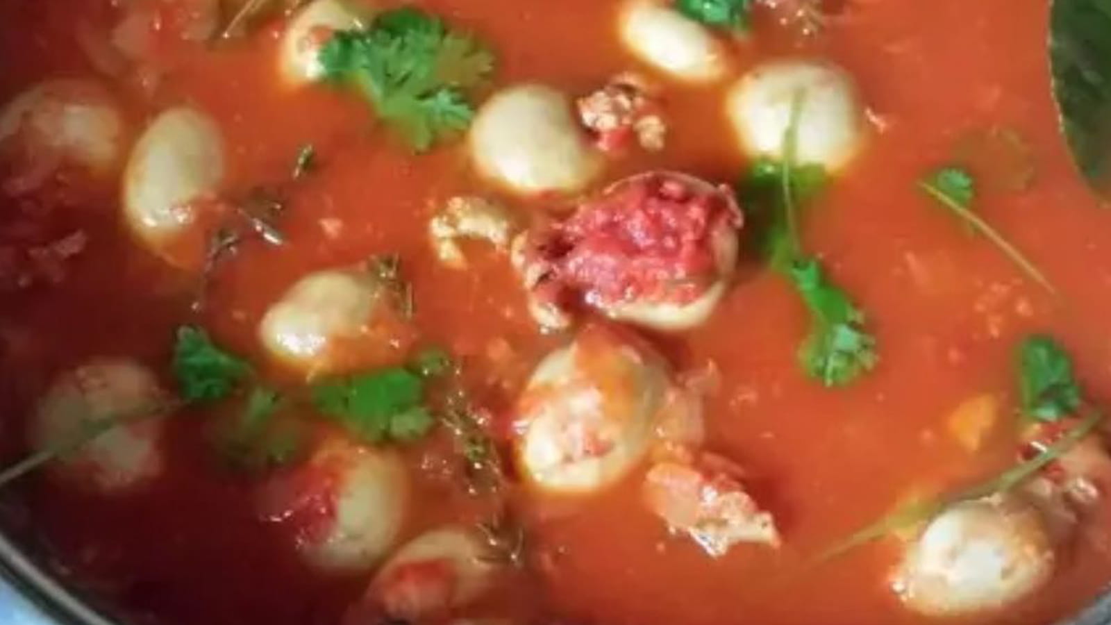 Calamars sauce piquante